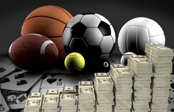 Photo: can sports betting make you rich