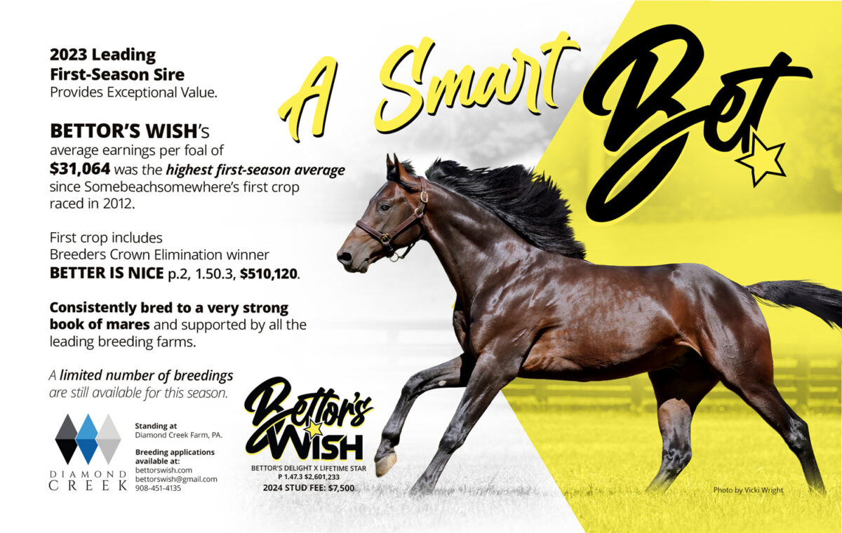 Photo: who is featured in the sports bet easy horse ad