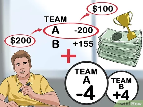 Photo: how does sports bet expert work