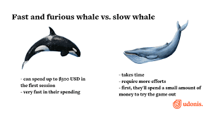 Photo: what is a whale in sports betting