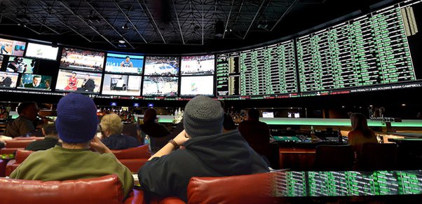 Photo: how to become a professional gambler sport bet