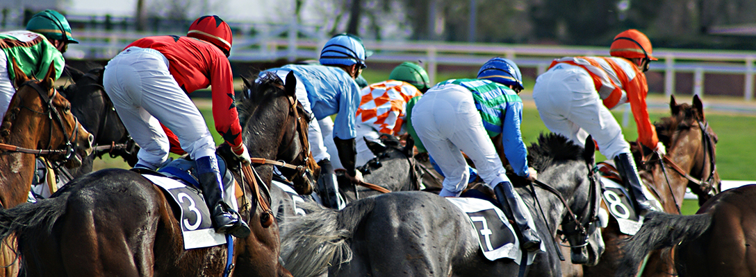 Photo: is sports bet also horse racing