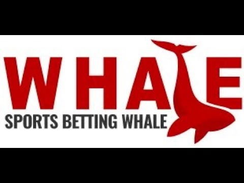 Photo: who is the sports betting whale