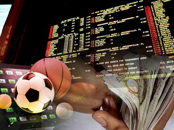 Photo: why sports betting is profitable