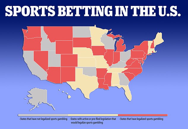 Photo: will florida legalize sports betting