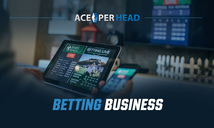 Photo: how to start a sports betting consulting business