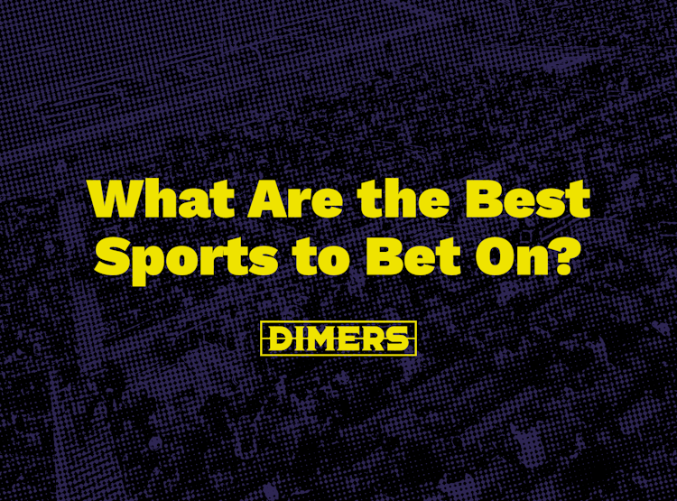 Photo: which sport is the best for betting